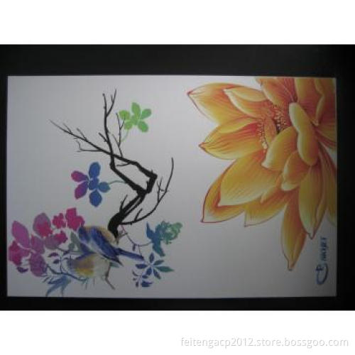 Best Performance Aluminum Composite Panel in China